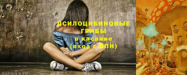 экстази Богданович